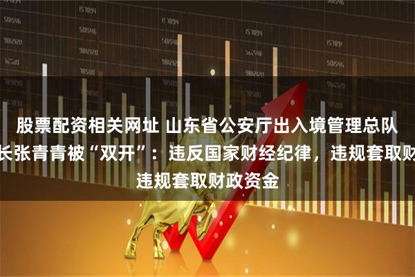 股票配资相关网址 山东省公安厅出入境管理总队原总队长张青青被“双开”：违反国家财经纪律，违规套取财政资金